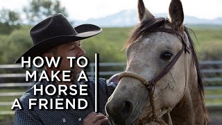 How to make a horse a friend One cowboys partnership with horses [upl. by Adnimra]