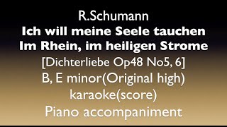 Dichterliebe Op48 No5 6 R Schumann B E minorOriginal high Piano accompanimentkaraoke [upl. by Nonnaehr]