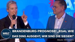 LANDTAGSWAHL IN BRANDENBURG AFD Trotz Platz 2  Chrupalla und Weidel feiern Hochrechnung [upl. by Peltier744]