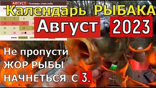 Календарь рыбака на Август 2023 Лунный календарь клева Август 2023 Прогноз клева рыбы на Август [upl. by Ardnuassak]