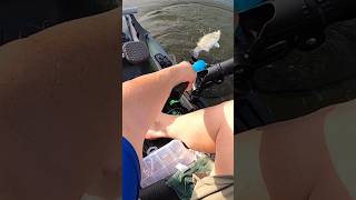 Using sonar to locate active fish kayakbassfishing trollingfishing fishing kayakfishing [upl. by Pascale158]