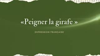 « Peigner la girafe » [upl. by Kenwee203]