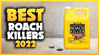 Top 5 Best Roach Killers You can Buy Right Now 2023 [upl. by Ayek]