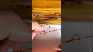 Drop shot rig  How to tie a T KnotFishing Rig hook knot shorts shortvideo short [upl. by Atirat308]