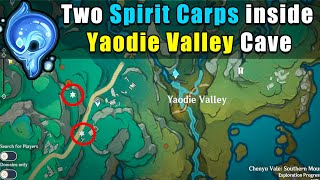 2 Hidden Spirit Carps inside a Cave in Yaodie Valley [upl. by Cerallua]