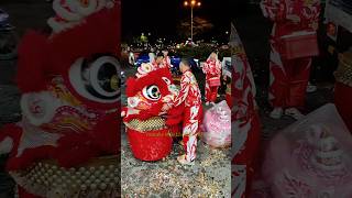 Đi Show Múa Lân Rạch Giá Kiên Giang liondance mualanhay liondance2024 bibitv tonytv [upl. by Debarath68]