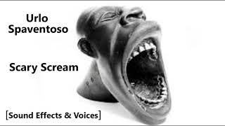 Urlo Spaventoso 😱 Scary Scream 😱 Sound Effects amp Voices 😱 [upl. by Wescott716]