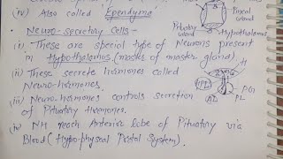 04 Neurosecretory cells of Nervous tissue For AIIMS JIPMER NEET [upl. by Edaw217]