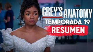 GREYS ANATOMY Temporada 19 RESUMEN EN 1 VIDEO [upl. by Neerihs159]