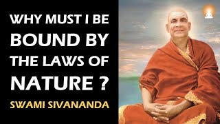 Spend Your Time with an Enlightened Guru  Ep 19  Swami Sivananda Saraswati [upl. by Eceinahs115]