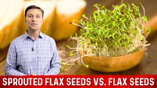 Sprouted Flax Seeds vs Flax Seeds Explained By Dr Berg [upl. by Gazo]