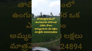 one acre 40 lakhs only agriculture openplotsforsaleinyadagirigutta farmland nationalhighway [upl. by Oicnerual]