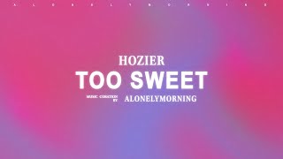 Hozier  Too Sweet Lyrics [upl. by Navy]