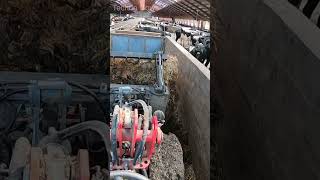 The Best Tractor For Farming 🚜 In Action Manure Cleaning 🐄 farming tractor action amazing cow [upl. by Acissey]