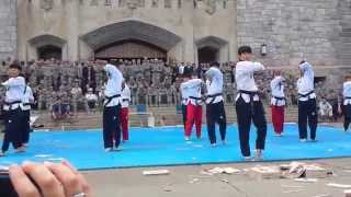 World Premier Taekwondo Team performing at West Point [upl. by Kirtap]