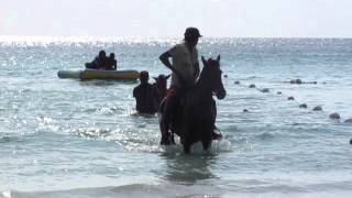 Negril Jamaica Margaritaville water trampoline fun [upl. by Darbie]