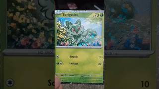 POKEMON CARD REVEAL SPRIGATITO pokemon shorts pokemoncards [upl. by Tnerual]