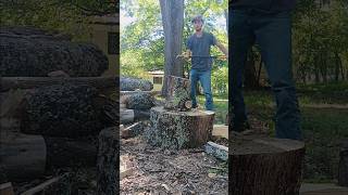 ME VS WOOD how firewood is made in the countryfirewood shorts roadto1k diy outdoors [upl. by Torrey]