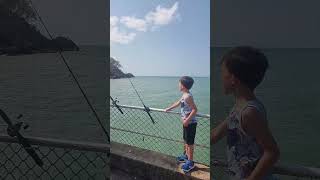 Fishing at the Jetty on High Tide Beautiful Day In Cairns Qld cairnslife [upl. by Lynden]