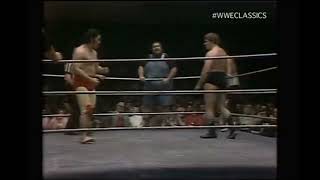 Mil MascarasHaystacks CalhounLarry Zbyzsko vs Strong KobayashiTank PattonGolden Terror 4251978 [upl. by Kelula]