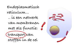 Uitleg Examen biologie HAVO Samengevat 2019 [upl. by Zach]