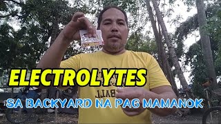 ELECTROLYTES SA BACKYARD NA PAG MAMANOK [upl. by Ssur779]