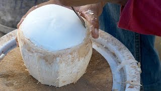 Coconut Cutting Skills  Thai Street Food [upl. by Mariel]