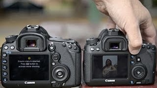 Canon 6D vs 5D mark iii [upl. by Zerla183]