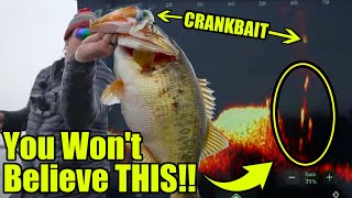 UNBELIEVABLE Double Digit Bass Eating Crankbaits on LiveScope No ones EVER seen this [upl. by Swane]