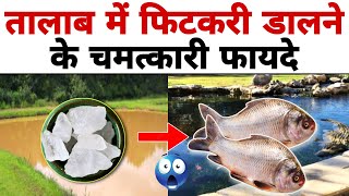 तालाब में फिटकरी करती है चमत्कार 😱 Use Of Alum In Fish Pond  Alum  Alum Sulphate [upl. by Gretchen]