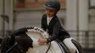 2024 Gypsy Vanner National Championships DAY2 RECAPDressage Western Dressage Trail English [upl. by Cave]