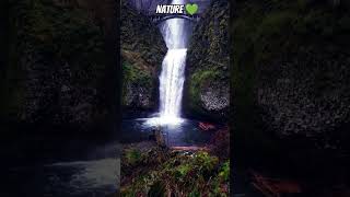 Nature lovers 💚 meditation ampRelaxation share shortvideo relaxingmusic [upl. by Ethelbert]