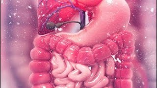 Intestinal obstruction part 1 [upl. by Godric]