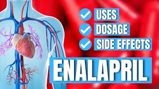 Enalapril Vasotec  Uses Dosage Side Effects  Doctor Explains [upl. by Wald704]