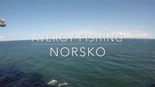 AVEROY FISHING  Norsko srpen 2018 [upl. by Notnilk]