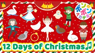 【♪うたアニメ】12 Days Of Christmas【英語の歌】On the first day of Christmas〜♬【Christmas Song  Xmas Song】 [upl. by Stacie]