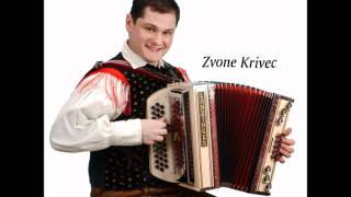 Zvone Krivec  Lanzinger polka [upl. by Eimam]