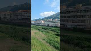 Città pescia youtube like travel 魚市 Рыбный город italia [upl. by Weissberg]