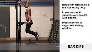 TTSL Daily Movement  How To Do Bar Dips [upl. by Hendrick422]