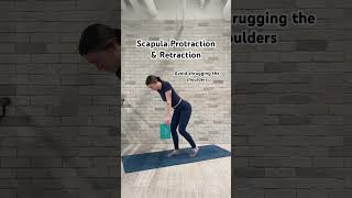 Scapula Protraction amp Retraction Kickstand Stance mobility shouldermobility shoulderworkout [upl. by Yelsehc]