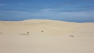 Formation of Sand Dunes Coastal Processes Part 5 of 6 [upl. by Nnylacissej]