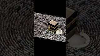 Labaik Allahuumma Labaik  WhatsApp status  HaJJ 2024 shorts [upl. by Aihsemot]