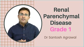 Renal Parenchymal Disease Grade 1 I Causes and treatment I Grade 1 Kidney Failure [upl. by Anawal]