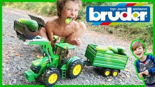 Bruder John Deere Tractor Harvests Organic Cucumbers [upl. by Marcille]