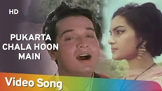 Pukarta Chala Hoon Main HD  Mere Sanam 1965  Asha Parekh  Biswajit Chatterjee  MohdRafi [upl. by Ahsieni]