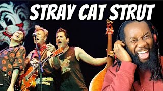 STRAY CATS Stray cats struts REACTION  They had style and a fantastic sound [upl. by Ecirtac]