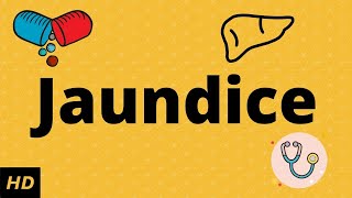 What is JaundiceCauses Signs and symptoms Diagnosis and treatment [upl. by Banyaz]