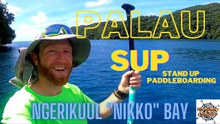 Stand up paddle boarding SUP in Palau  Ngerikuul Nikko Bay [upl. by Buckler]