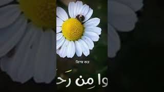 আল্লাহর বেপারে নিরাশ হবেন নাshorts islamicstatus shortsviral foryou [upl. by Weinreb]