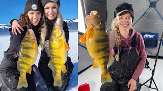 Ice Fishing the Largest Jumbo Perch of Our Lives  Cascade Part 2 [upl. by Delly]